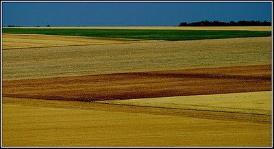 French Fields