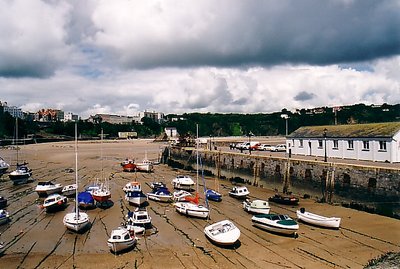 Tenby Harbour III