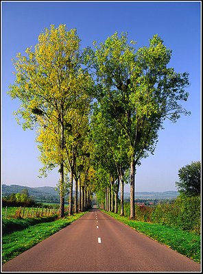 French Road