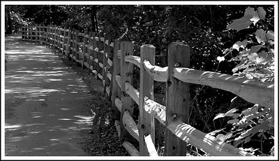 Wooden Fence Line, 2003