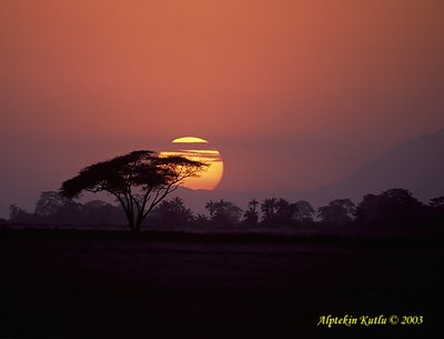 Sunset in Amboseli