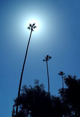 L.A. Airburst