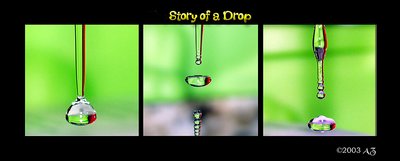 Story of a drop