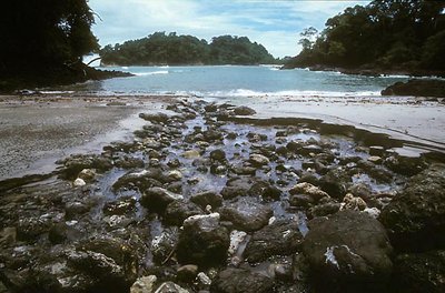 Manuel Antonio Beach