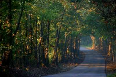 Country road