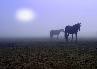 Hazy Blue Morning