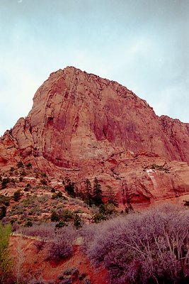 Red Faced @ Zion NP