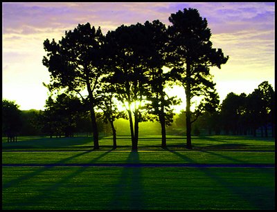 a bad day of golf is always better than a good day at work...