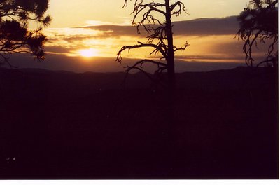 Zion Dawn