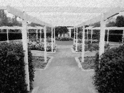 Flower Pergola