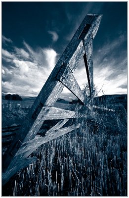 Harvest Evening in Mono