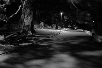 Lonely path at night