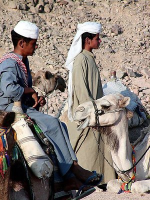 bedouins