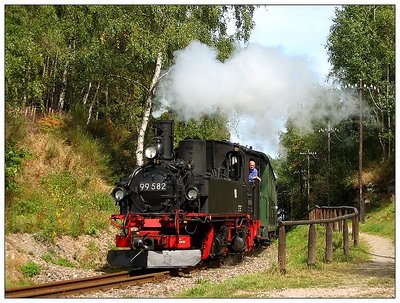 Saxon Steam Train