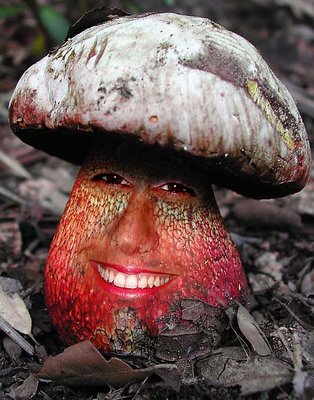 Boletus Satanas