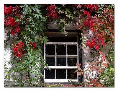 Window Dressing