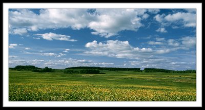 Grasslands