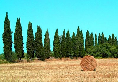 Tuscany