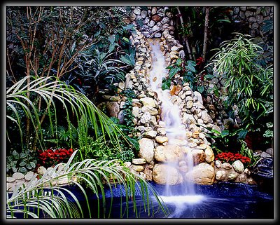 The Garden