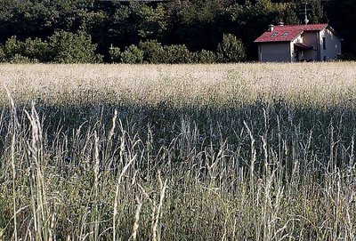 c'è una casa nel parco