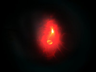 Evil Heart