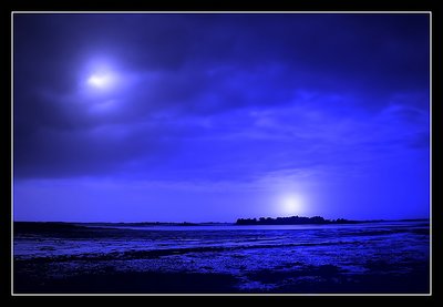 Blue Tide