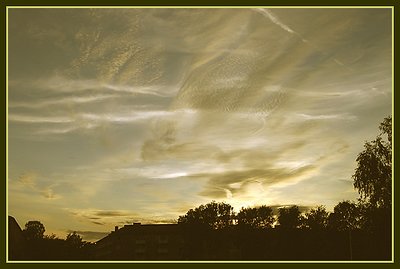 "Skyscape": wings on the sky