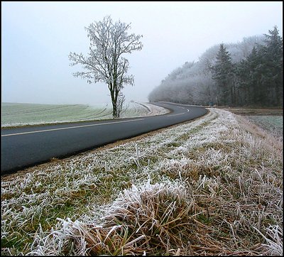 Foggy Road.