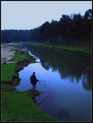 Fisherman