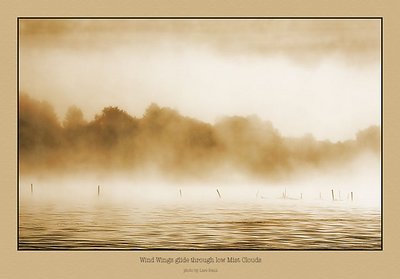 Wind wings glide through low mist clouds