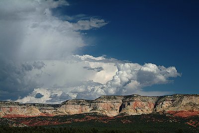 Summer Storm