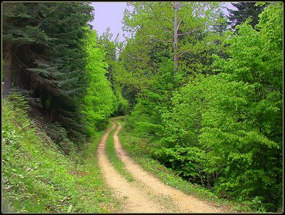 Path