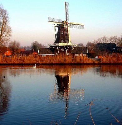 Mill and Swan in Reflection by sunset