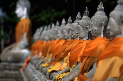 Ayuttaya - Buddhas