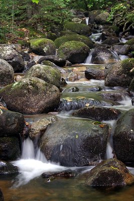 New Hampshire Creek