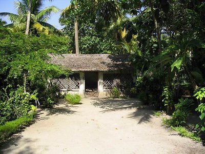 The wood shed