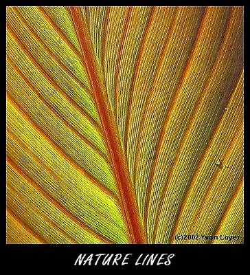 Nature lines