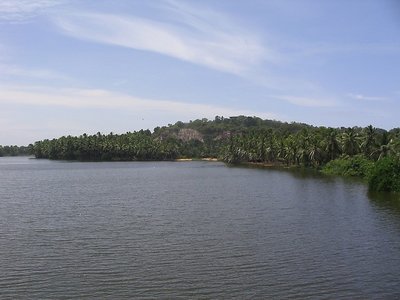 Scenic shot just outside Trivandrum