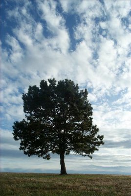 Quintessential Kansas Photo