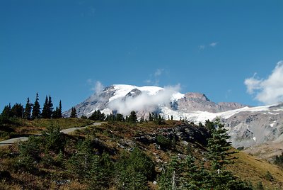 Mountain Meadow