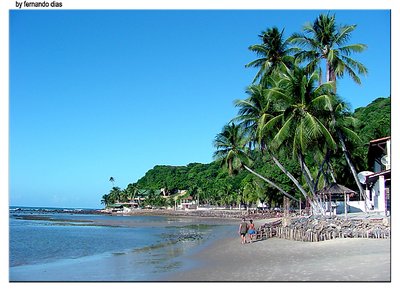 Pipa's beach (Brazil)