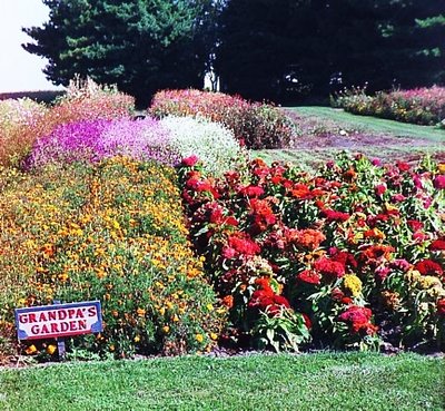 Grandpa's Garden