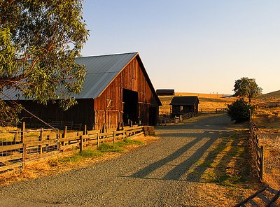 Sunset Farm