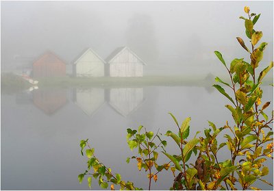 - Early Morning Mist -