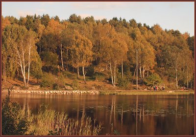 Autumn colors