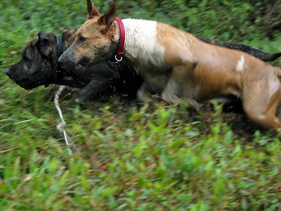 Together we run