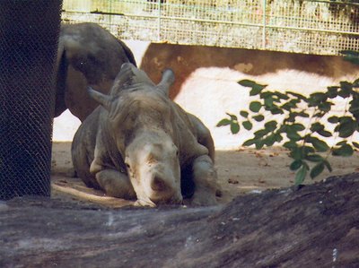 Relaxing in the sun