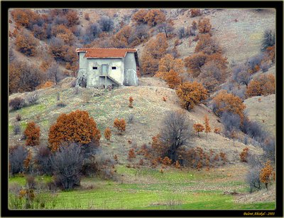 Smiling House