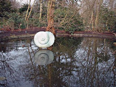 Snail in a pond