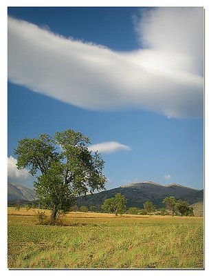 Summer Day